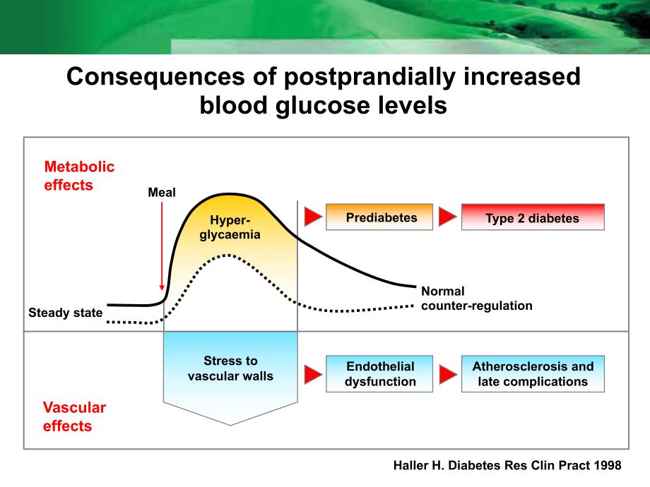餐后高血糖与心血管危险最新研究进展English (NXPowerLite).ppt_第2页