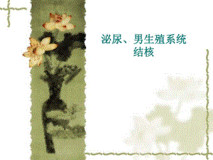 第34章泌尿系结核.ppt