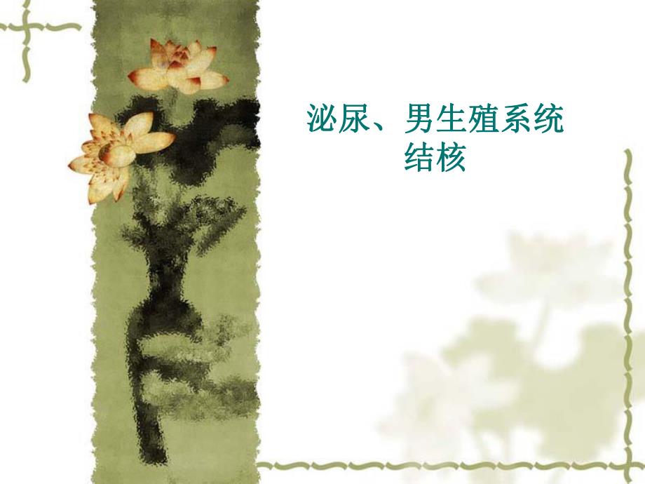 第34章泌尿系结核.ppt_第1页