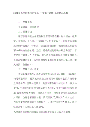 2023年医学影像科党支部“一支部一品牌”工作情况汇报.docx