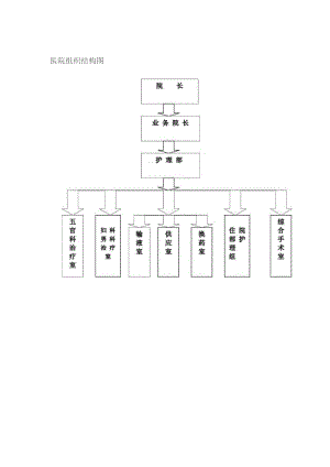 医院组织结构图.docx