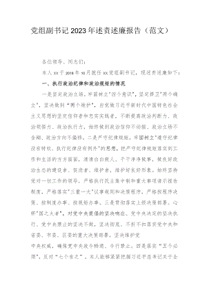党组副书记2023年述责述廉报告(范文）.docx