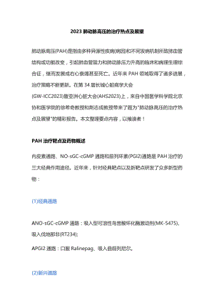 2023肺动脉高压的治疗热点及展望.docx