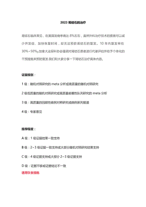 2023肾结石的治疗.docx