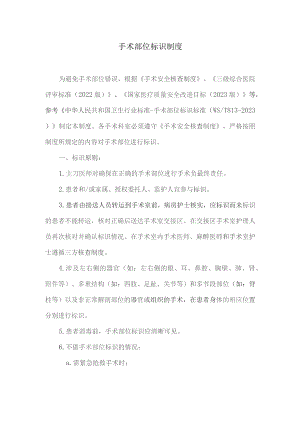 手术标识制度.docx