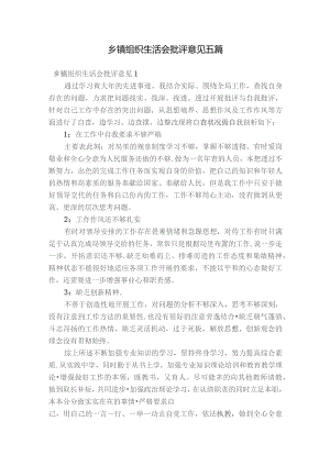 乡镇组织生活会批评意见五篇.docx