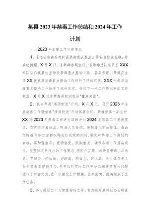 某县2023年禁毒工作总结和2024年工作计划.docx