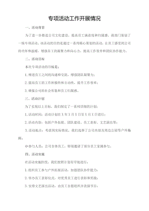 专项活动工作开展情况.docx