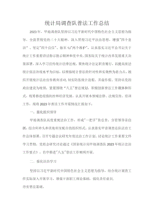 统计局调查队普法工作总结.docx