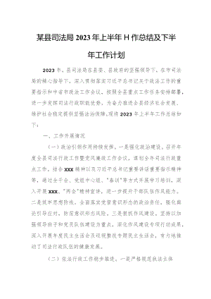 某县司法局2023年上半年工作总结及下半年工作计划.docx