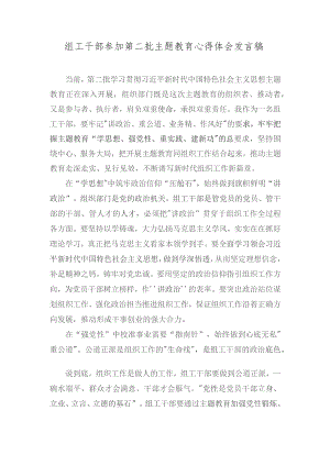 （2篇）组工干部参加第二批主题教育心得体会发言稿+座谈发言：发扬吃苦耐劳精神做新时代“好”青年.docx