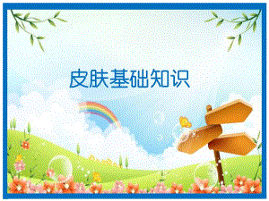 皮肤基础知识.ppt