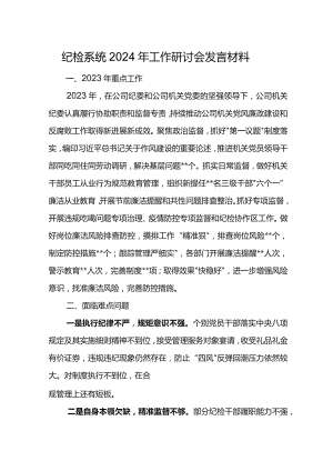 纪检系统2024年工作研讨会发言材料.docx