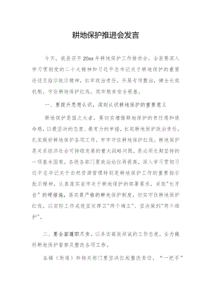 耕地保护推进会发言.docx
