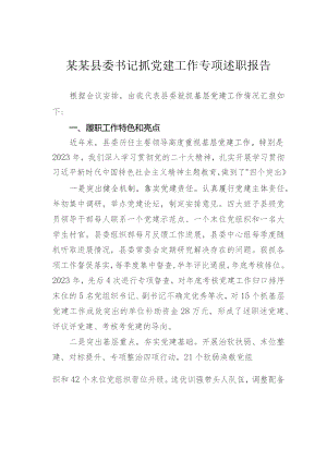 某某县委书记抓党建工作专项述职报告.docx