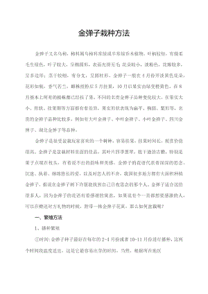 金弹子栽种方法.docx