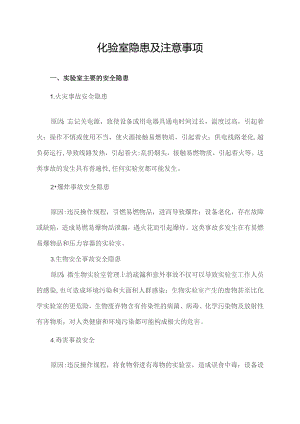 化验室隐患及注意事项.docx