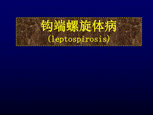 医院感染科培训材料钩端螺旋体病基本知识学习.ppt