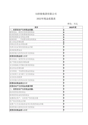 XX控股集团有限公司2022年现金流量表.docx