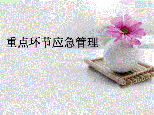 医院烧伤科重点环节应急预案.ppt