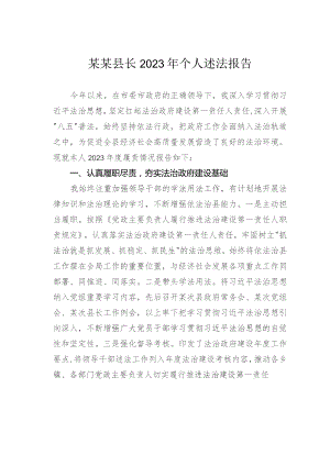 某某县长2023年个人述法报告.docx