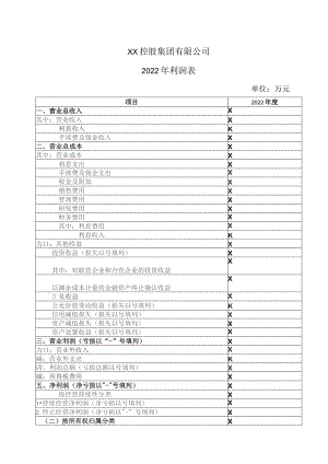 XX控股集团有限公司2022年利润表.docx