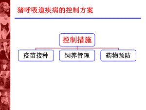 呼吸道疾病的发生和综合控制措施.ppt