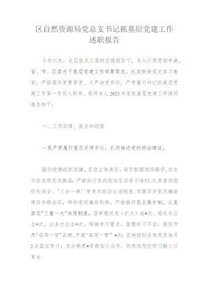 区自然资源局党总支书记抓基层党建工作述职报告.docx