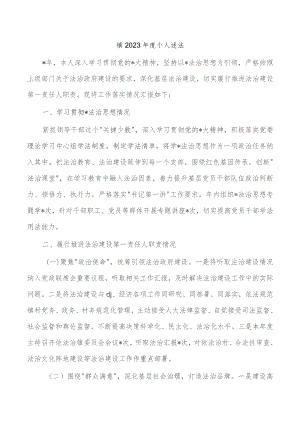 镇2023年度个人述法.docx