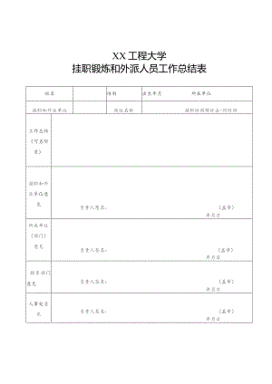 XX工程大学挂职锻炼和外派人员工作总结表（2023年）.docx