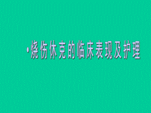烧伤休克期的护理.ppt.ppt
