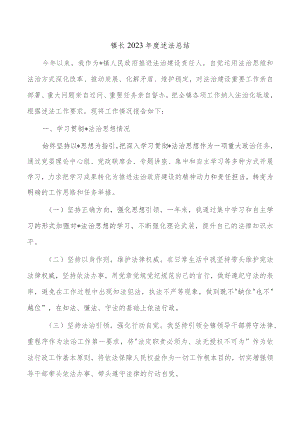 镇长2023年度述法总结.docx
