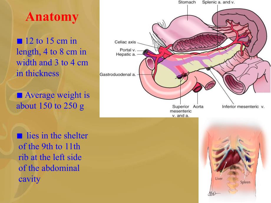 spleen disease.ppt_第3页