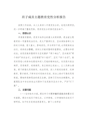 班子成员主题教育党性分析报告.docx