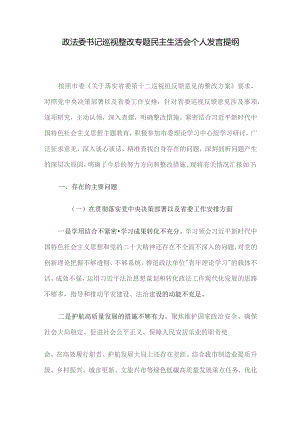 政法委书记巡视整改专题民主生活会个人发言提纲.docx