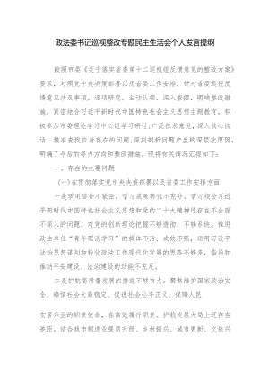 政法委书记巡视整改专题民主生活会个人发言提纲.docx