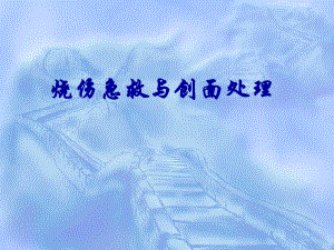 烧伤急救与创面处理.ppt