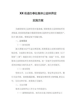 XX街道办事处集体公益林界定实施方案.docx