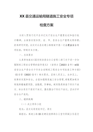 XX县交通运输局隧道施工安全专项检查方案.docx