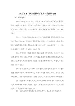 2023年第二批主题教育检视清单及整改措施.docx