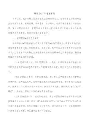 镇长2023年述法总结.docx