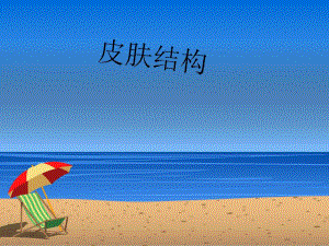 皮肤结构及肤质.ppt