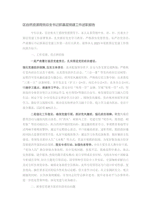 区自然资源局党总支书记抓基层党建工作述职报告.docx