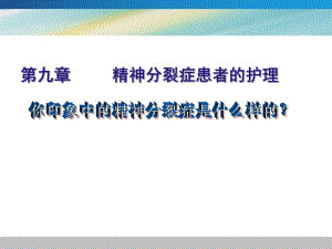 精神分裂症患者的护理1.ppt
