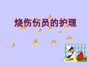 重症烧伤的护理.ppt