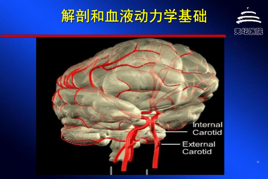 脑血管病与侧枝循环.ppt_第2页