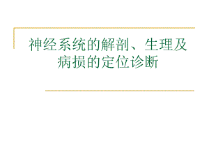 神经系统的解剖、生理及病损的定位诊断.ppt.ppt