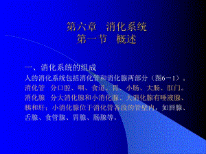 组织学和解剖学..消化系统.ppt