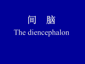 背侧丘脑　.ppt