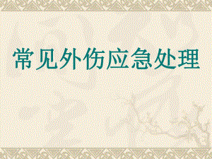 常见外伤应急处理.ppt